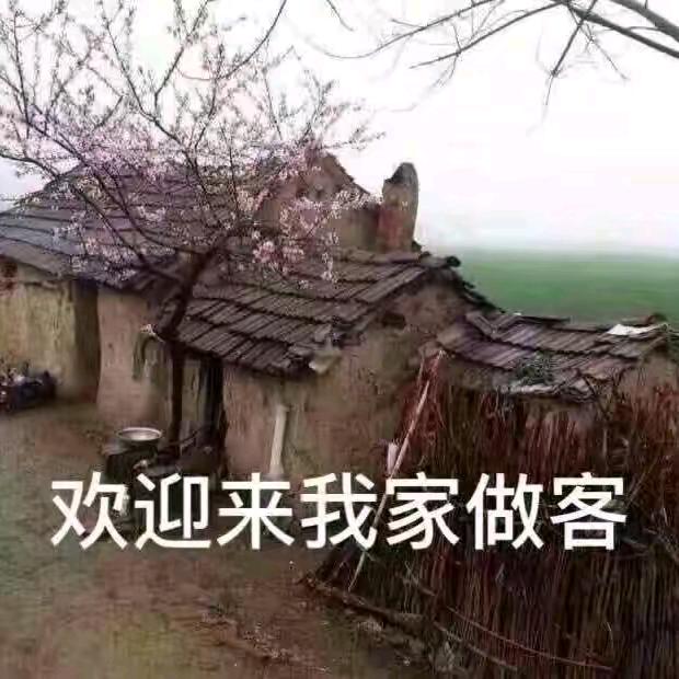 刘不知
