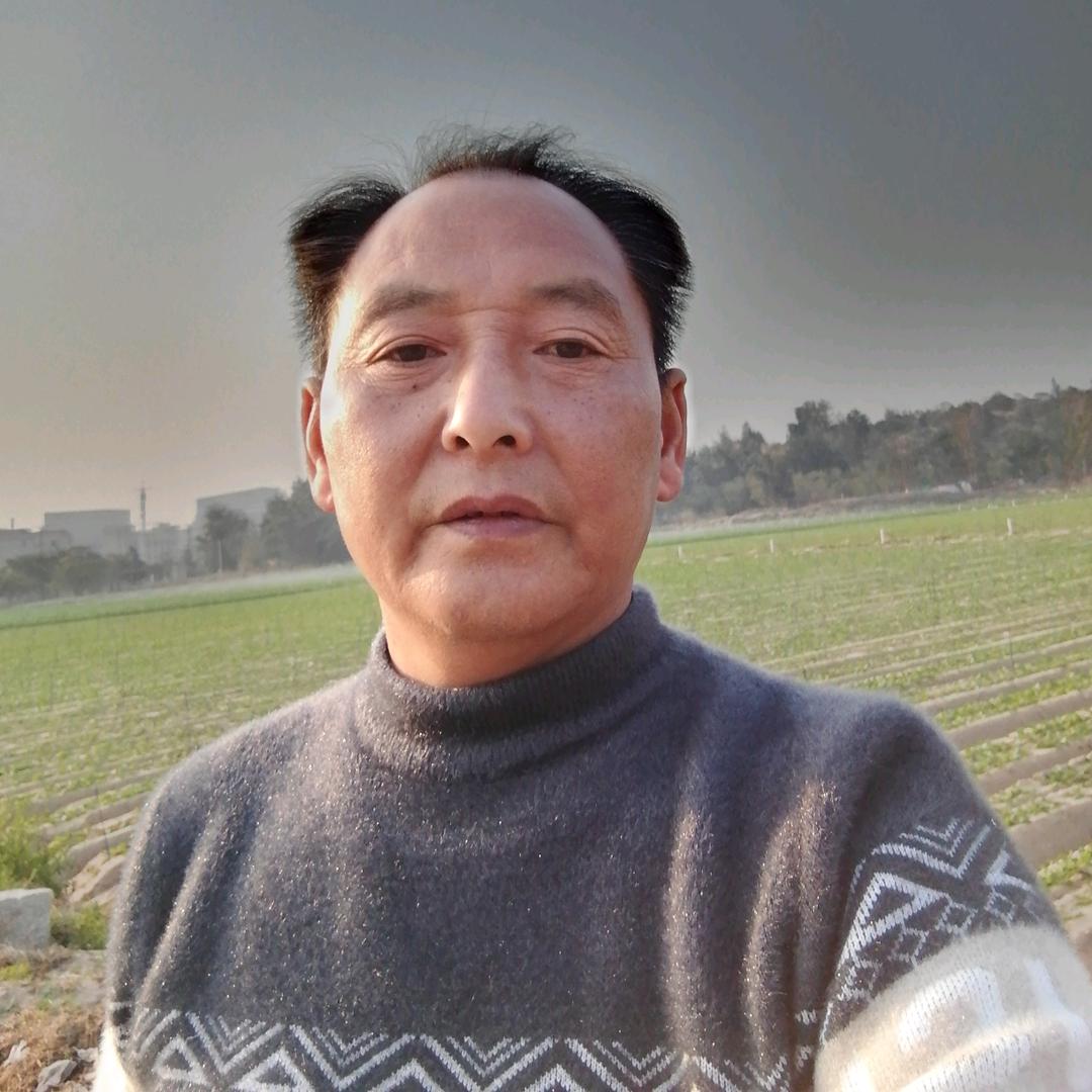 强进