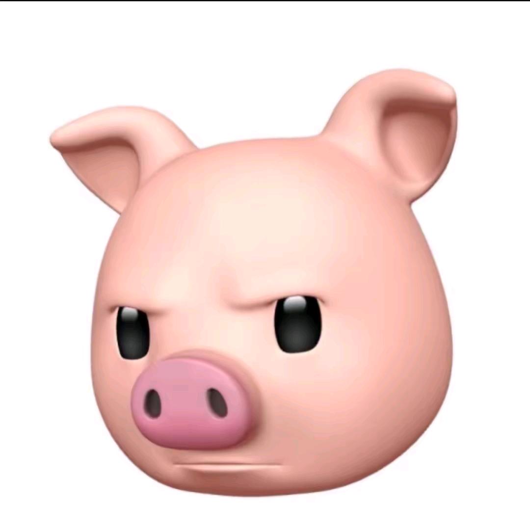 小猪🐖（推荐官）