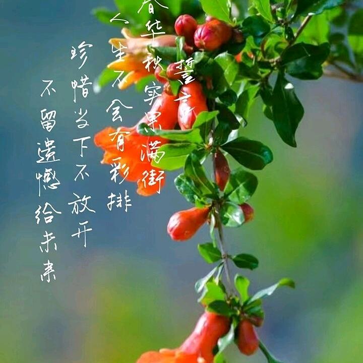 💞ঞ护王₅₂₀周全💞࿐