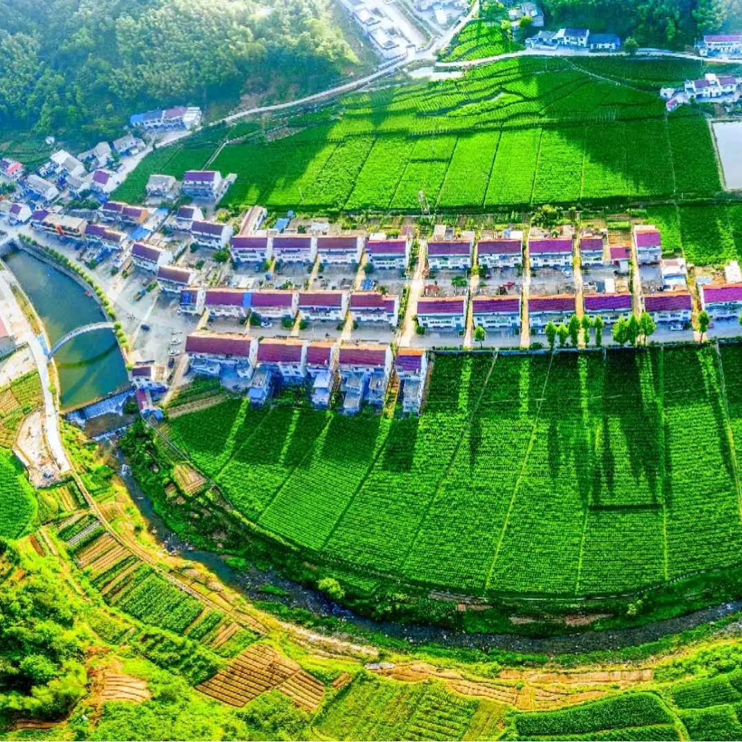 蓝波王🏀🏀🏀