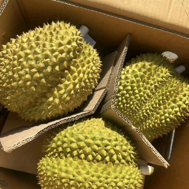 振华果汇