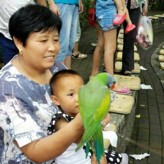 家合万事兴！刘美芳