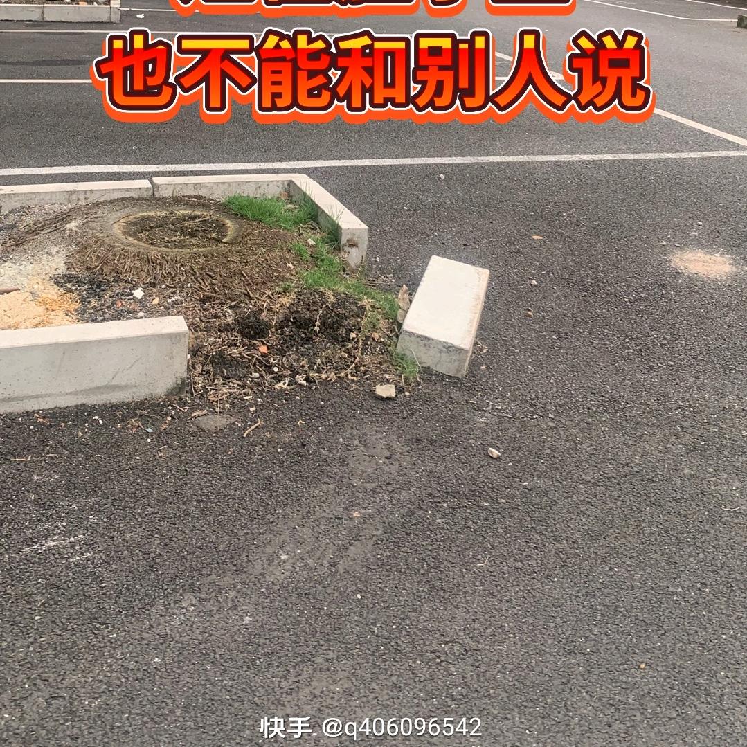付大增