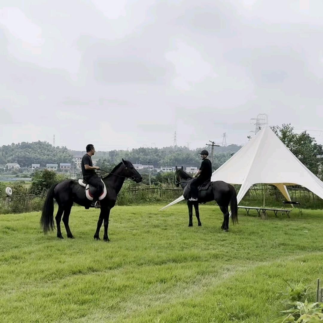 远上寒山石径斜