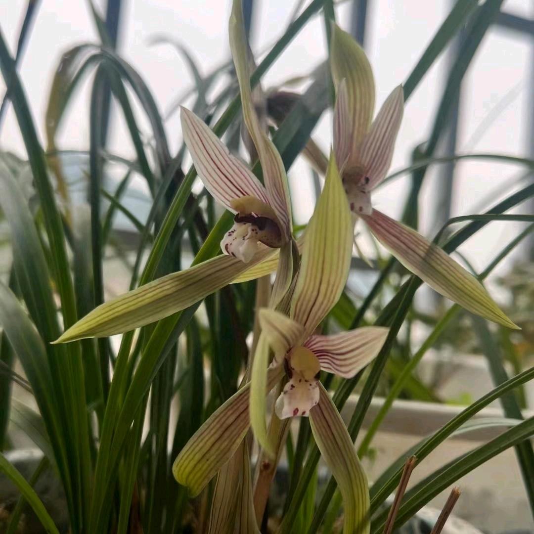 三哥专业做电梯，开钻机