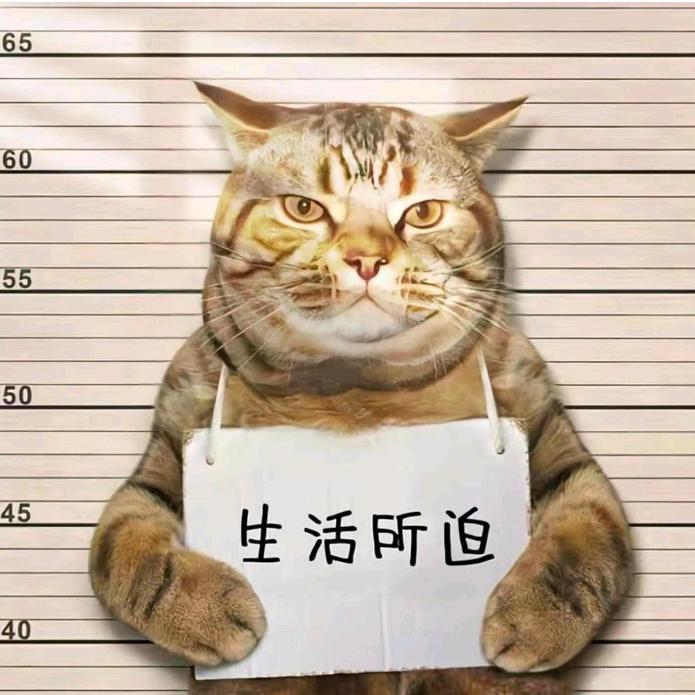阿秀姐