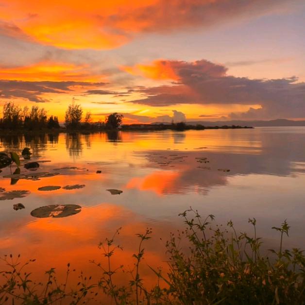 渔舟唱晚半壶纱