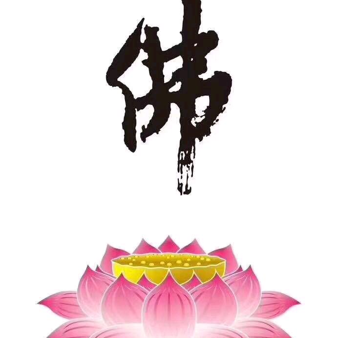 卐泽亮卐