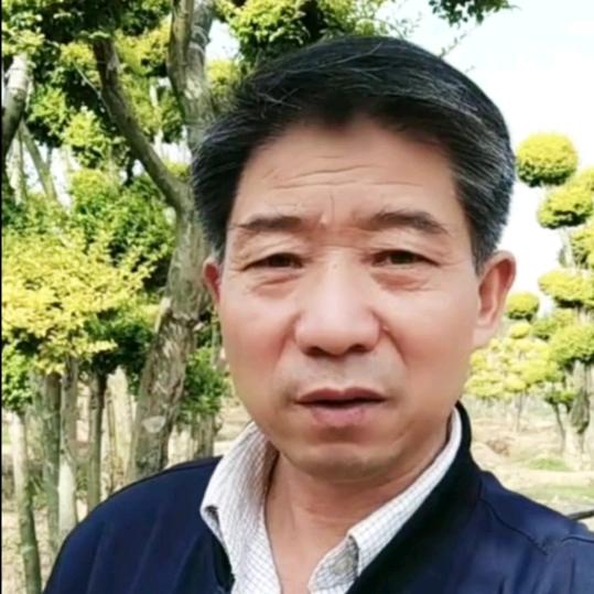 依然还是你