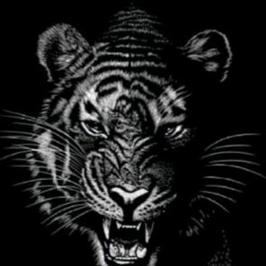 全国装载机配件和油品批发