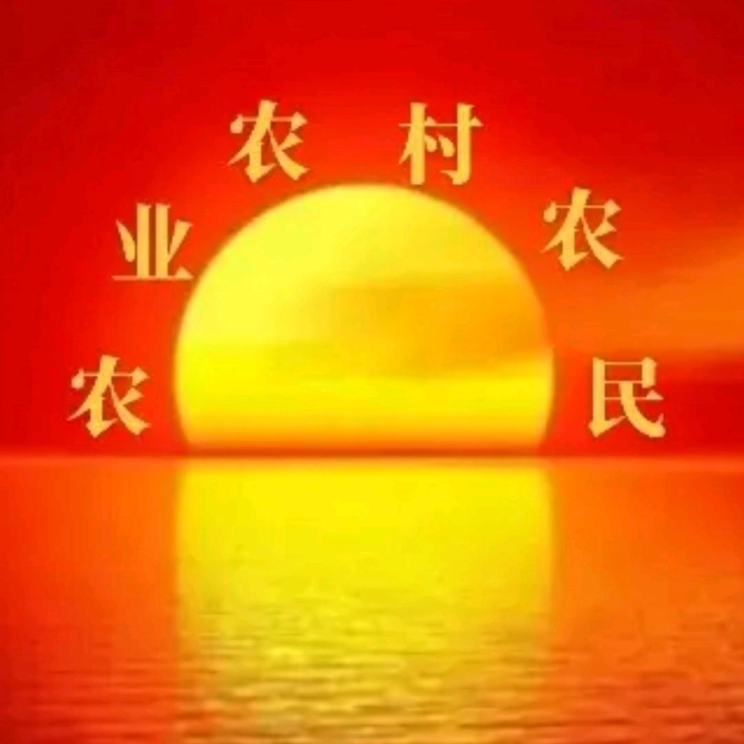 抖音助力乡村振兴之路