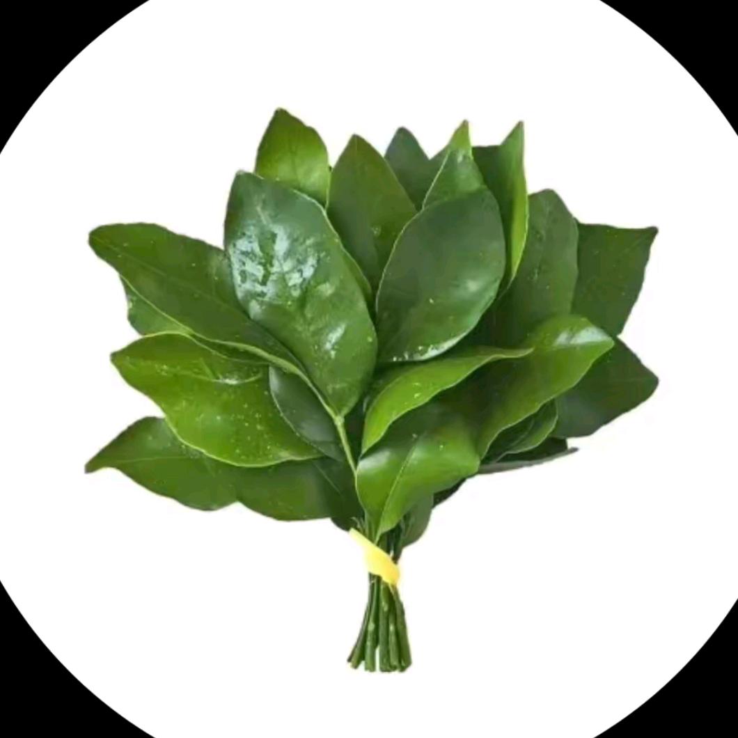 渝念栩生
