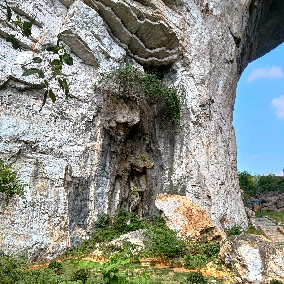 陈陈陈陈