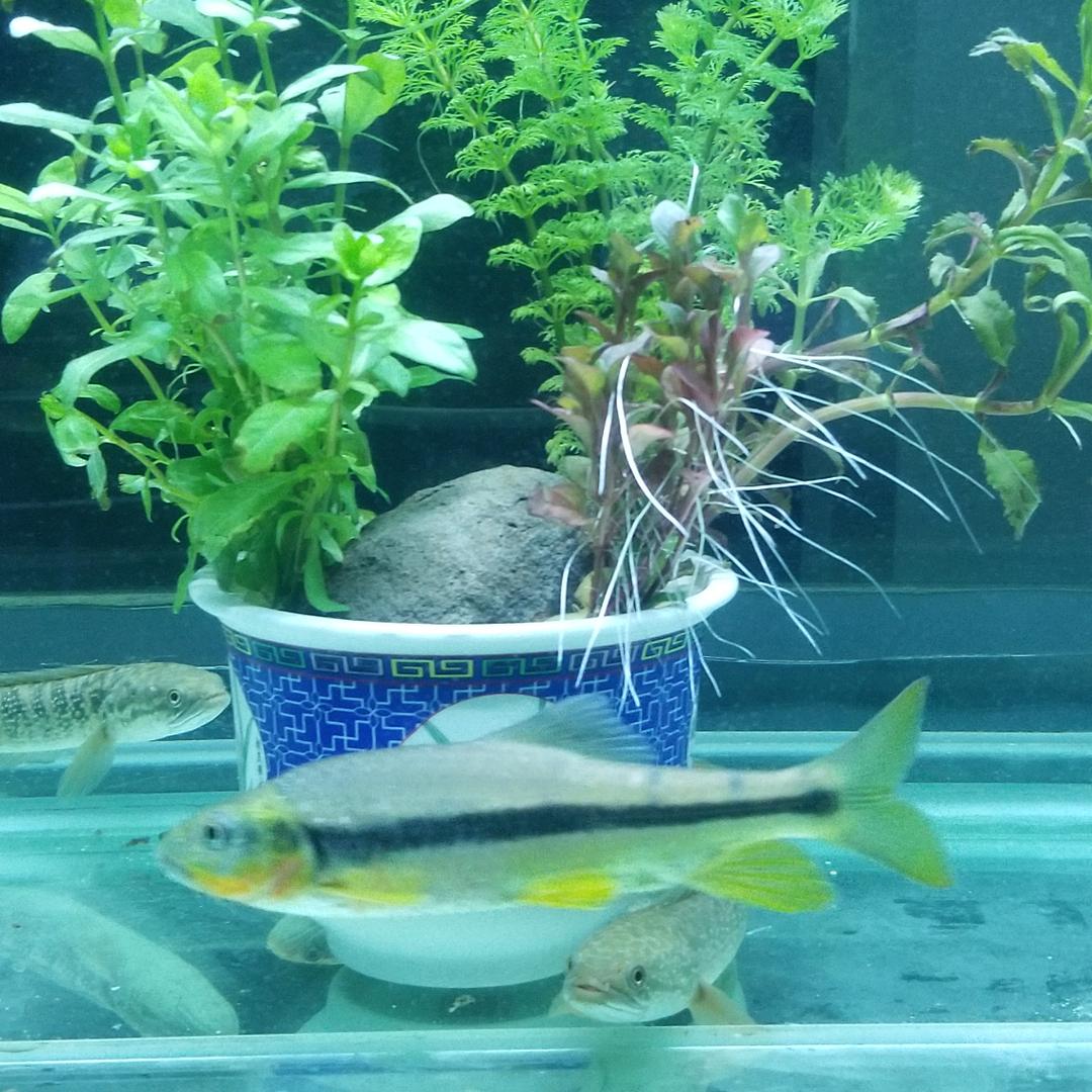 汀水斑影