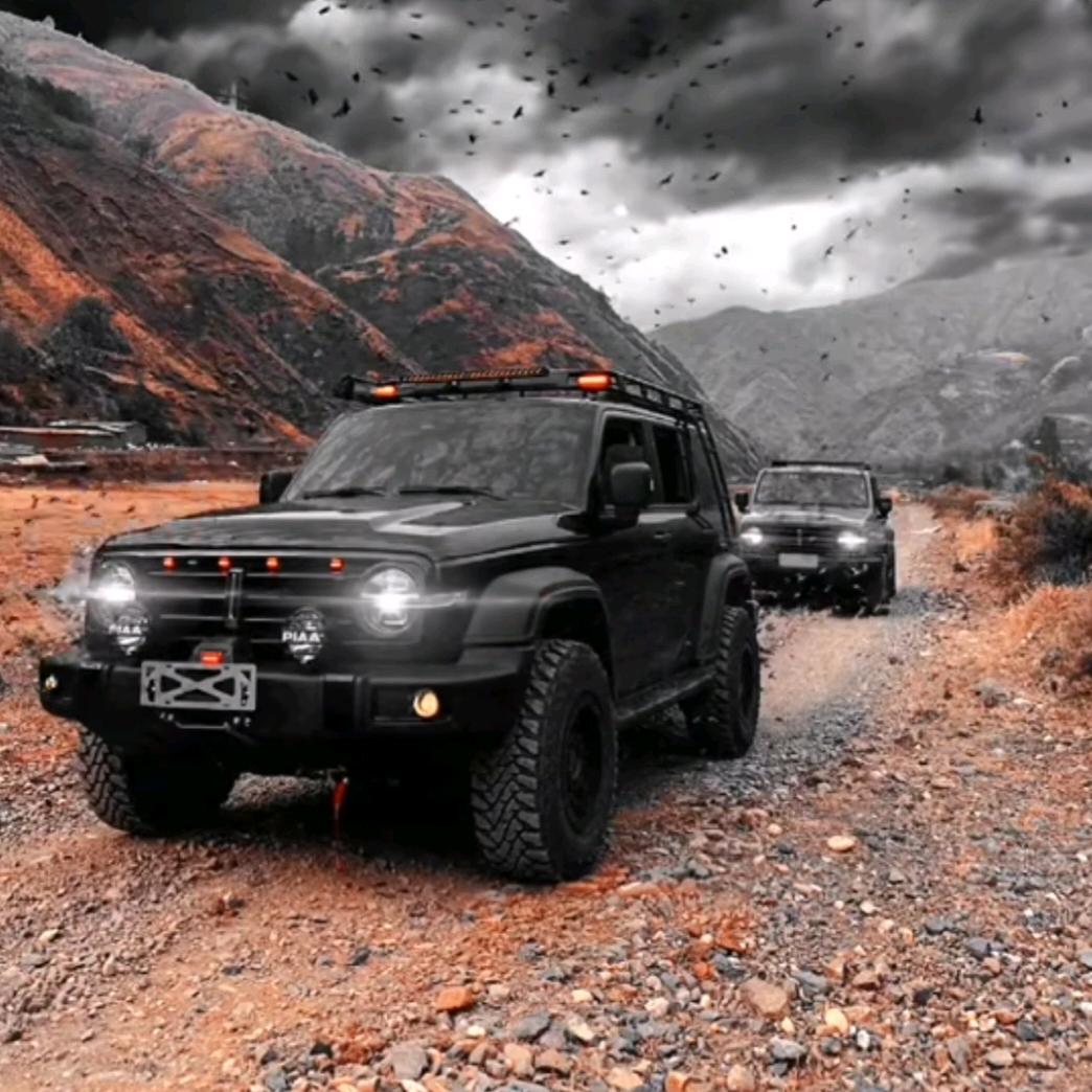 不爱越野的【TANK 】