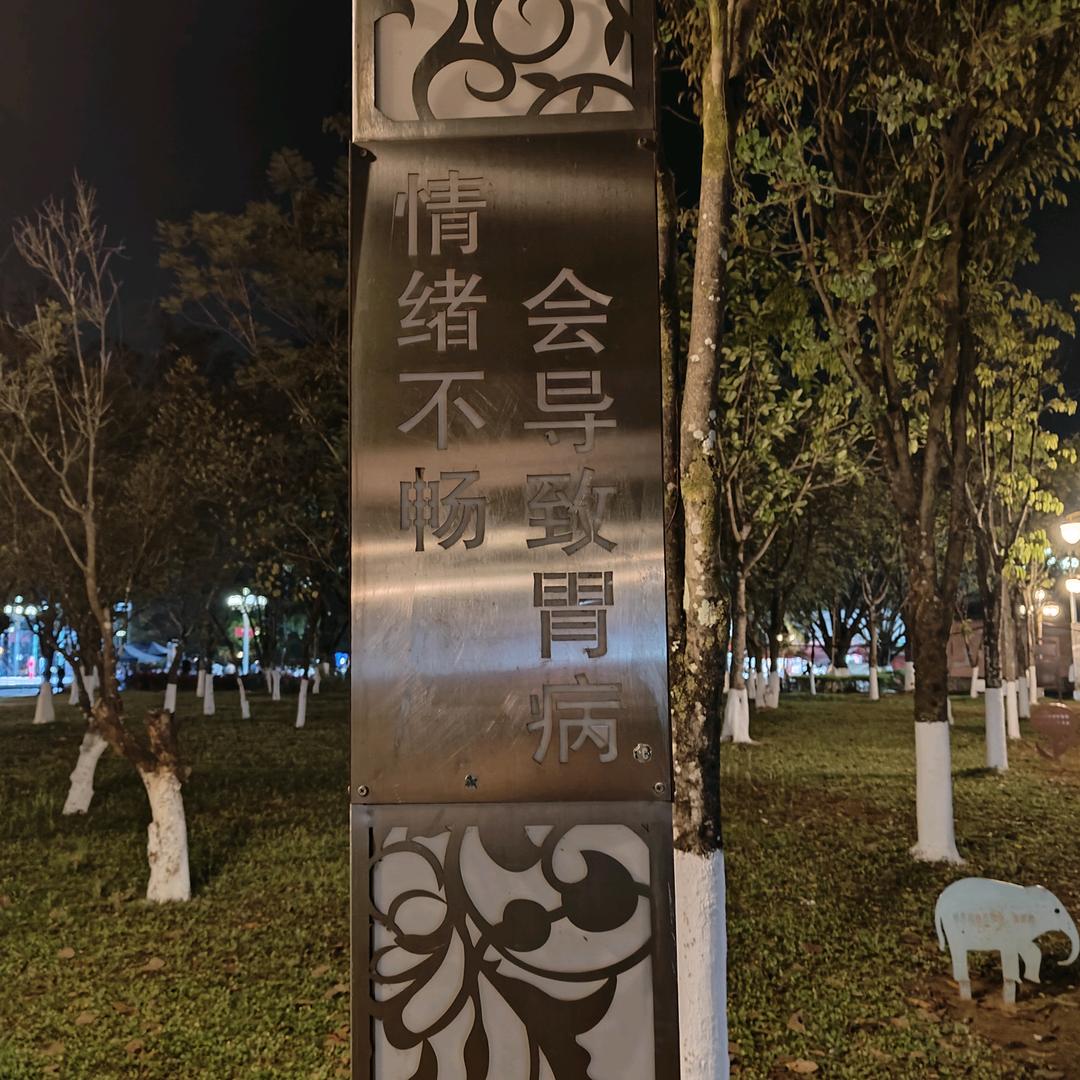负可'🇨🇳敌郭