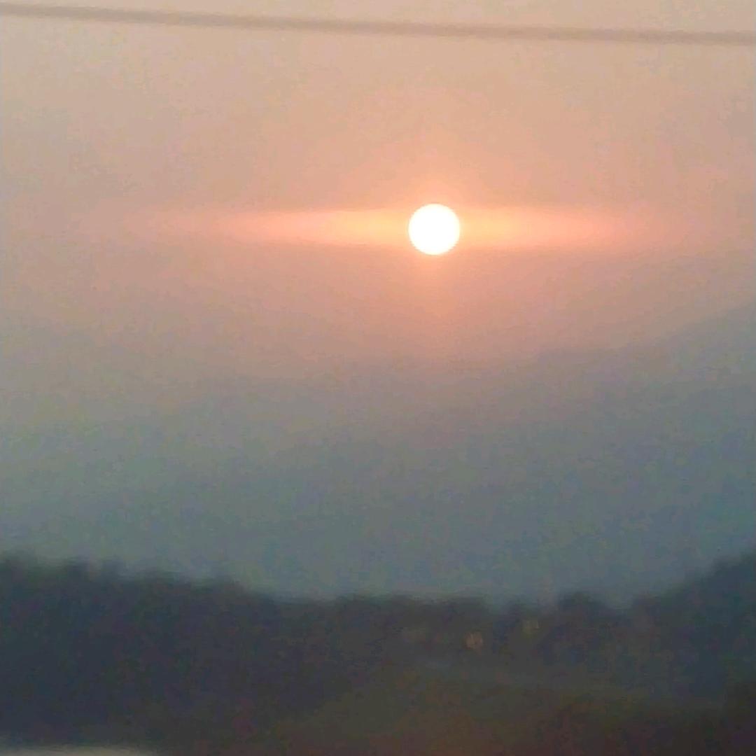 地球上找东西吃