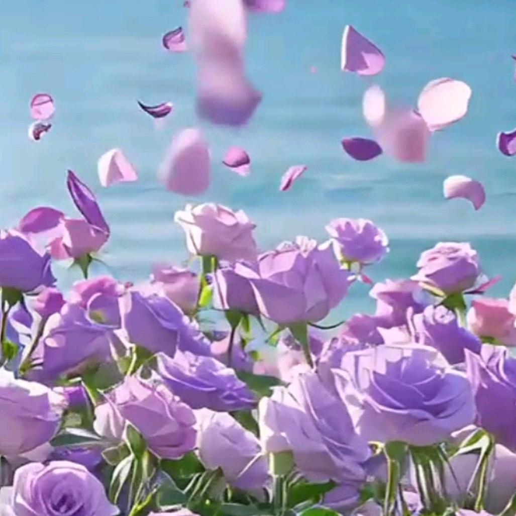 幸福的一家人。