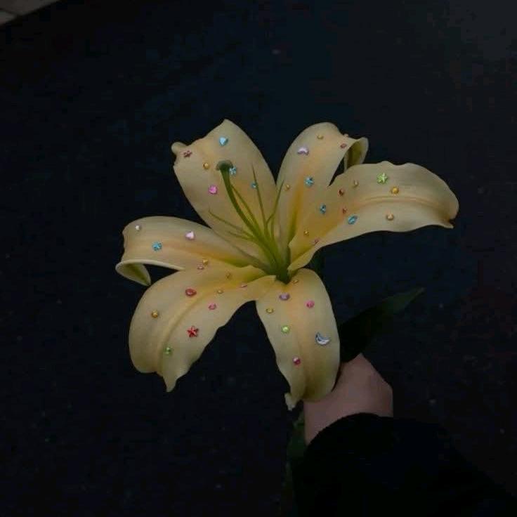 芳贞🥰