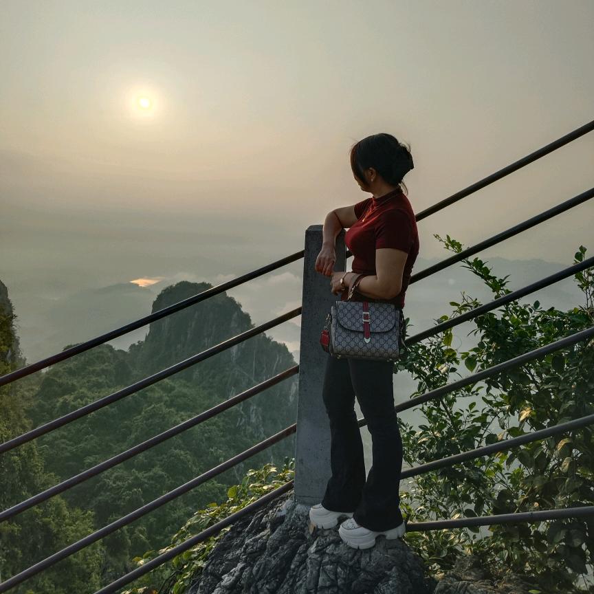 安静的执着
