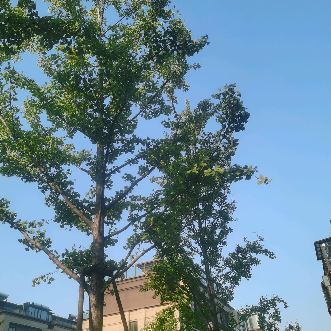 @人生若只如初见