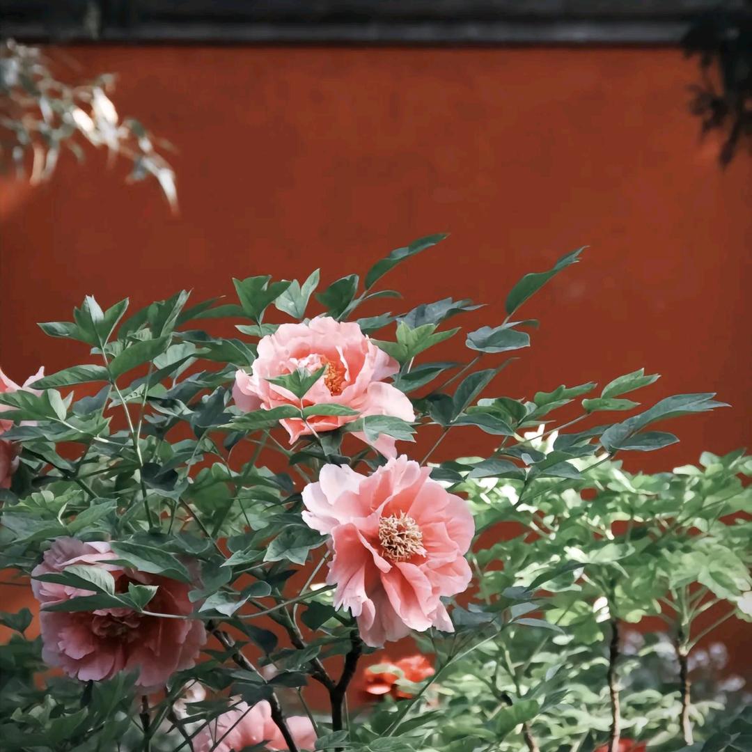 时光清浅