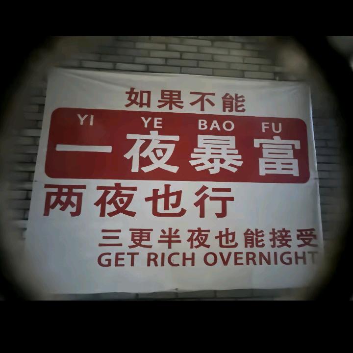 晒太阳的小马哥