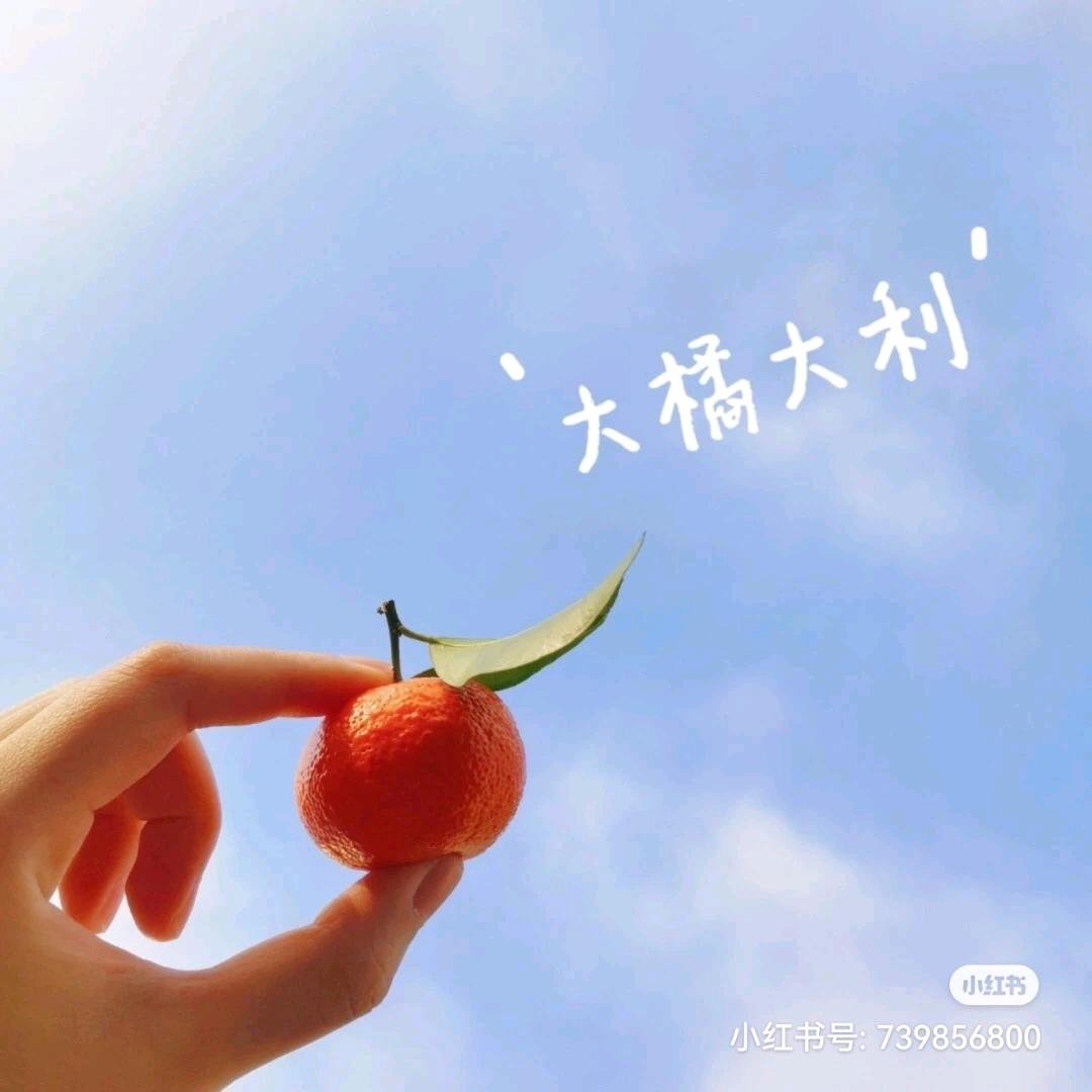 朱朱姐