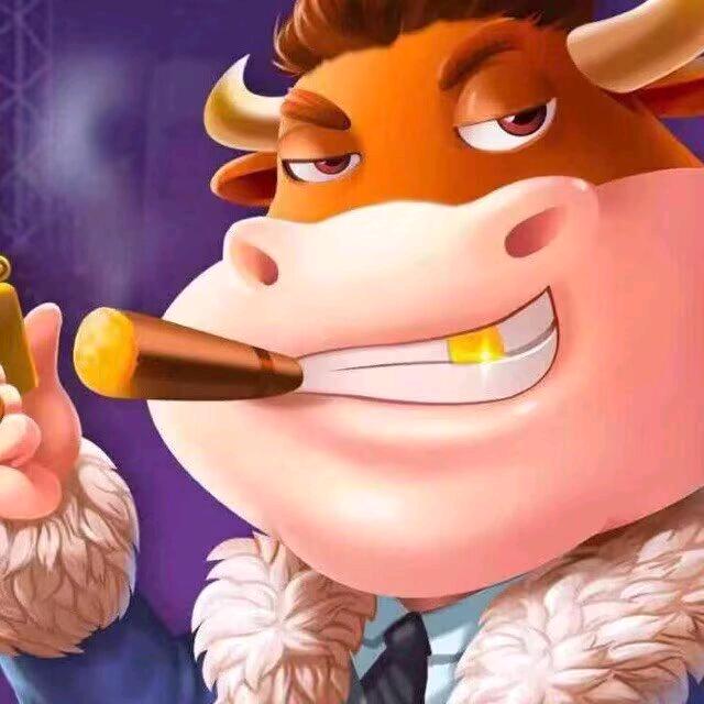 牛🐮金🌸三杠跑嘛