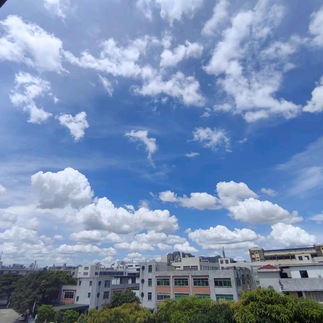 渝来粤好