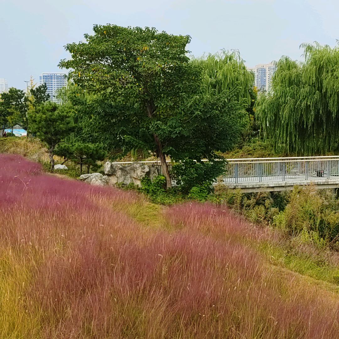 健康萌萌哒🌻🌻