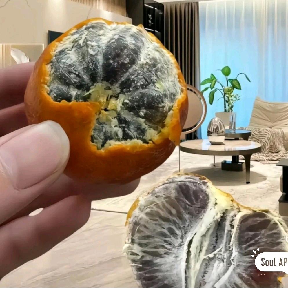 七七三十一