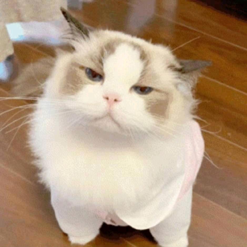 ，。。，