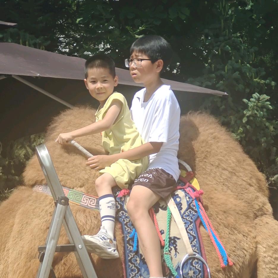 德庄火锅经理小莲