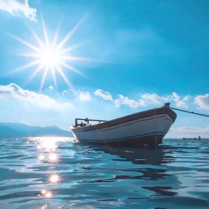.一帆风顺 纵横四海