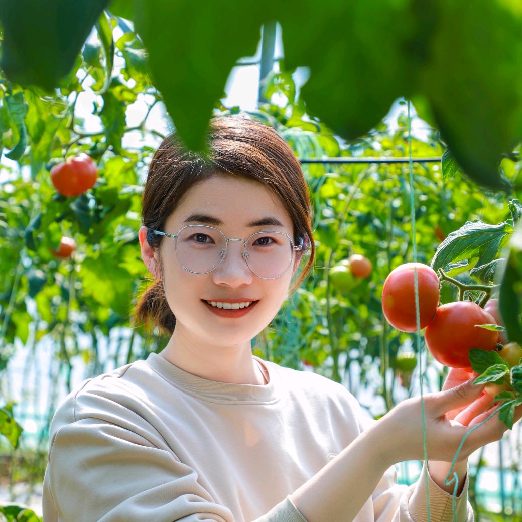 新农人社（婷婷）