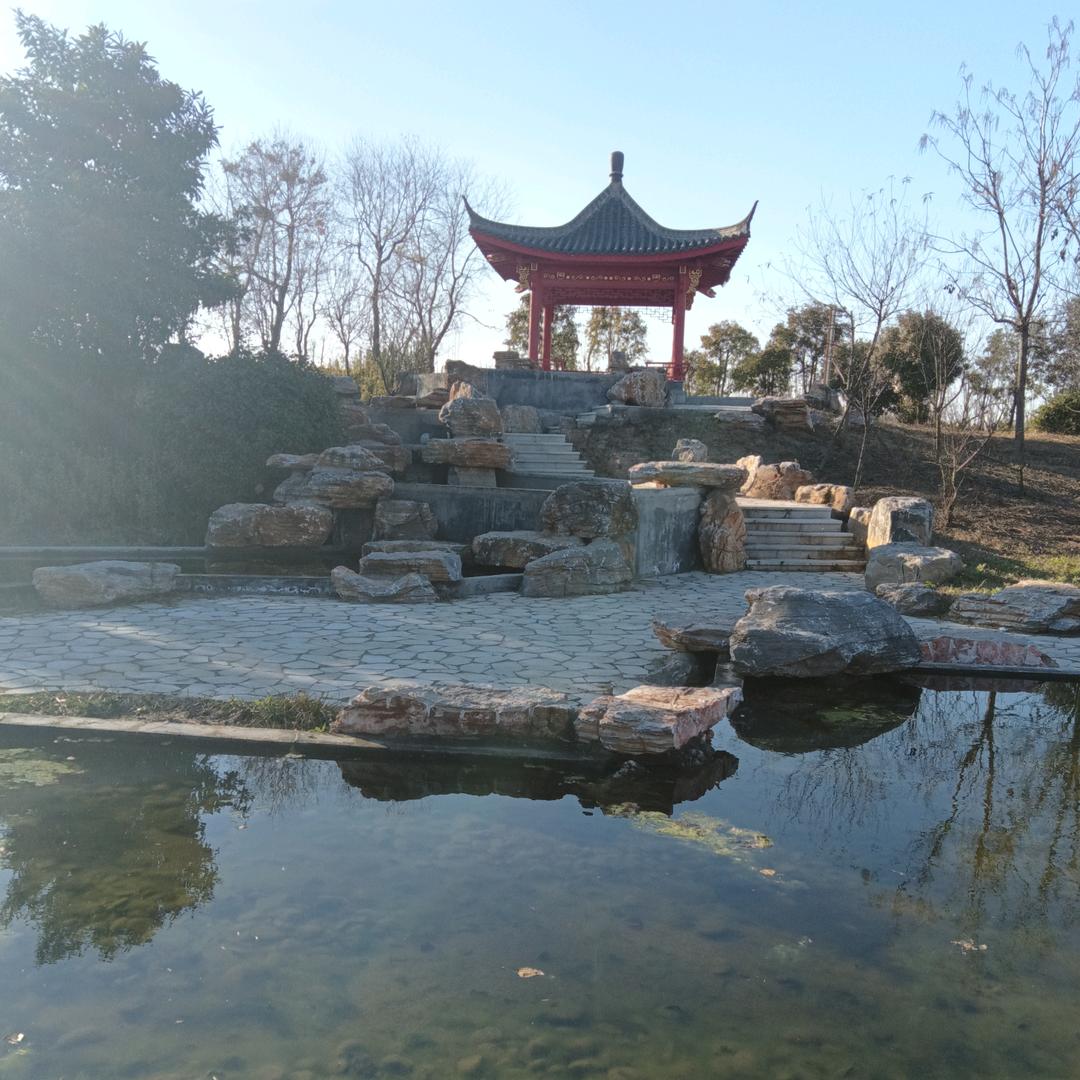 峰哥