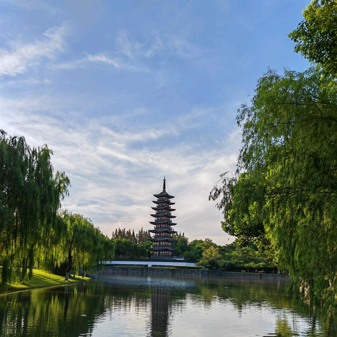 虞美人 ²⁸¹⁶