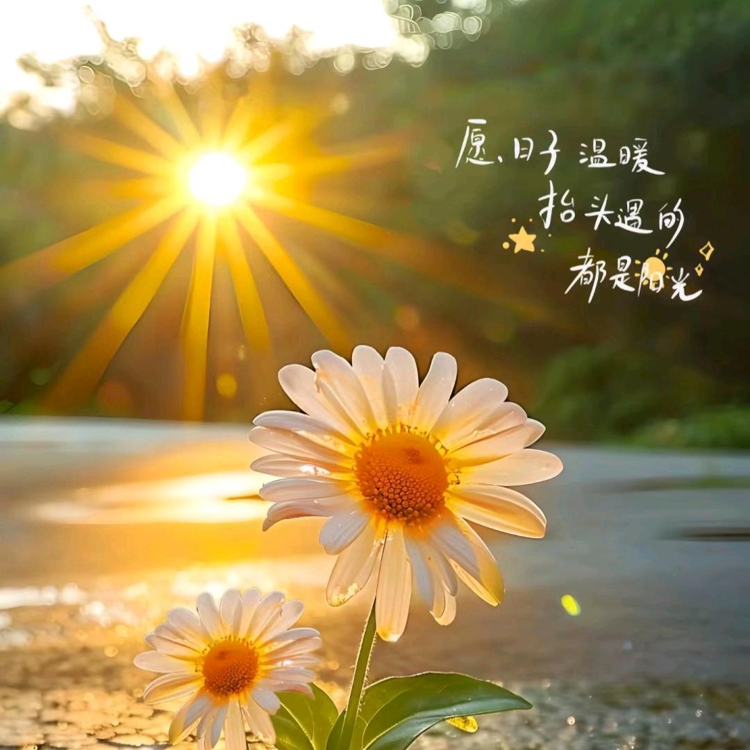 晨骑小夏