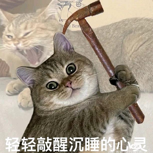万卡来了