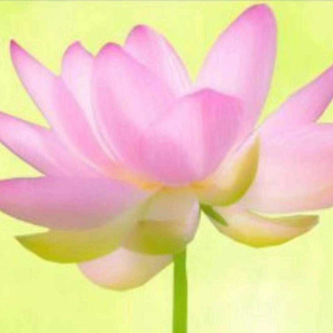醒悟封锁🔒爱情🙏