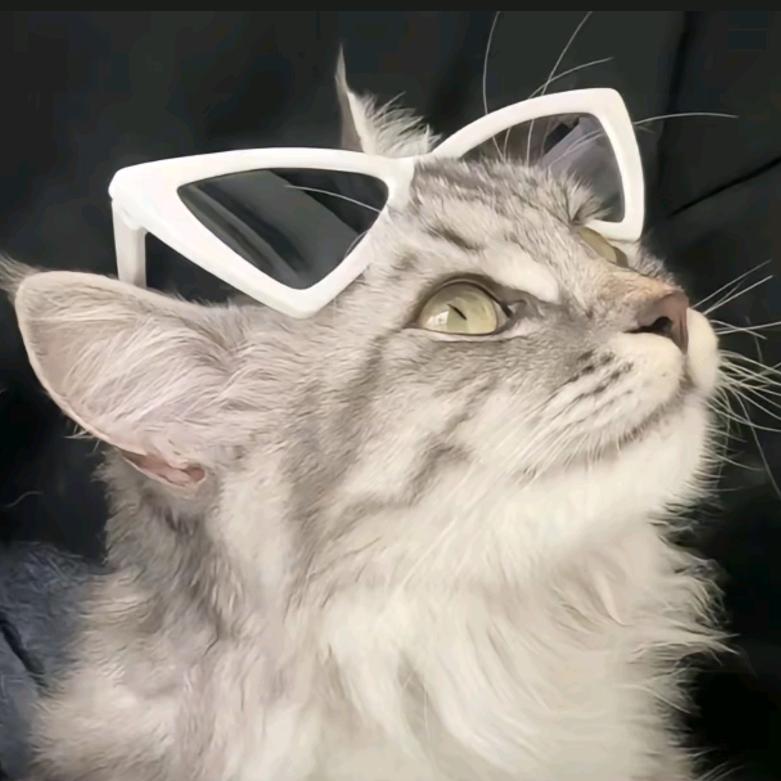 ༊ღ᭄宠着你꧔ꦿ᭄