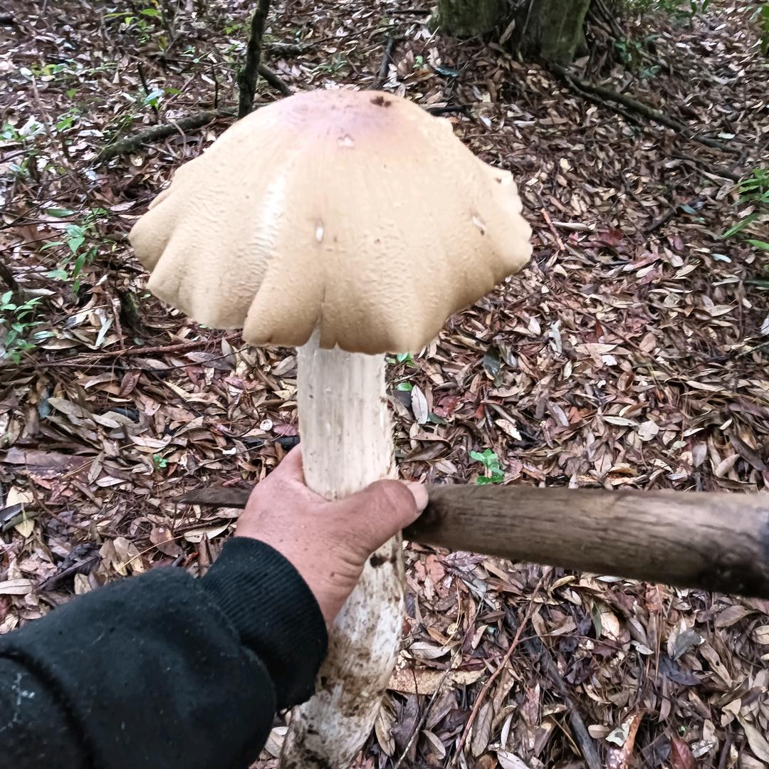 一百减一等于零