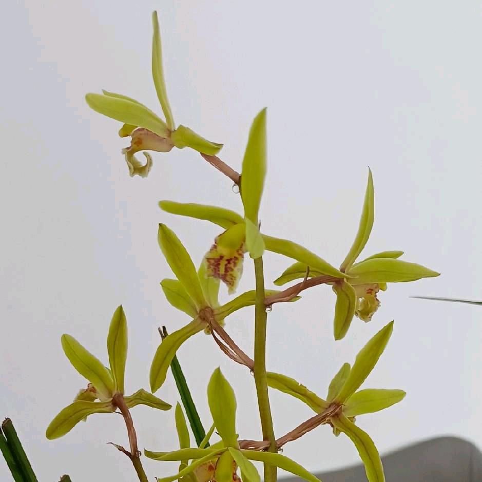 放下一切，重新开始