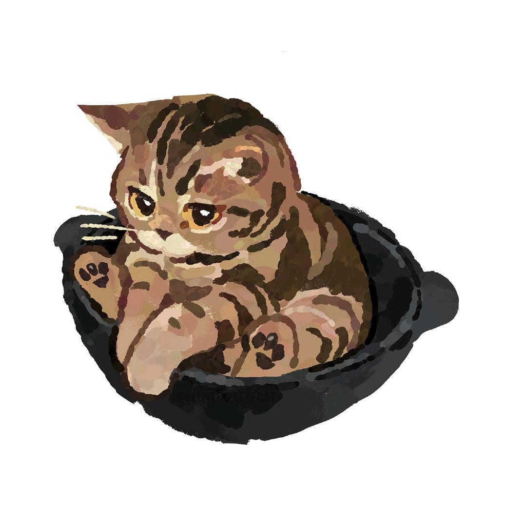 小鱼不能睡