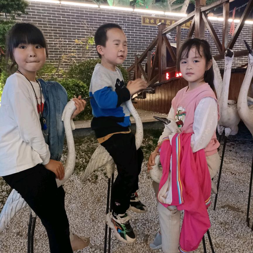 子群