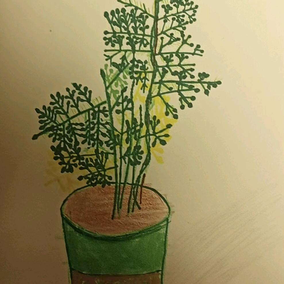 方程式的程