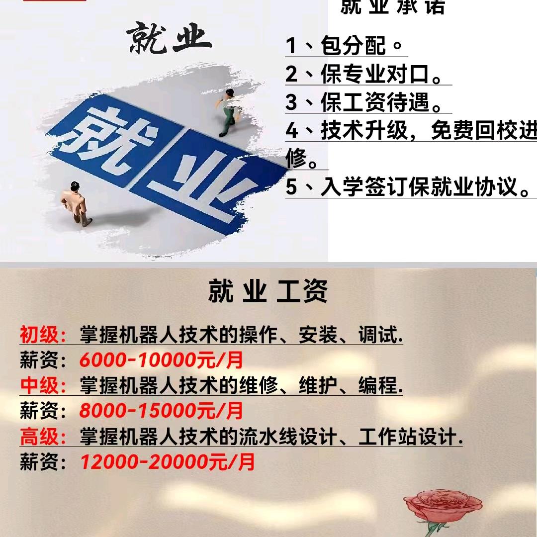暖阳易话讲就业