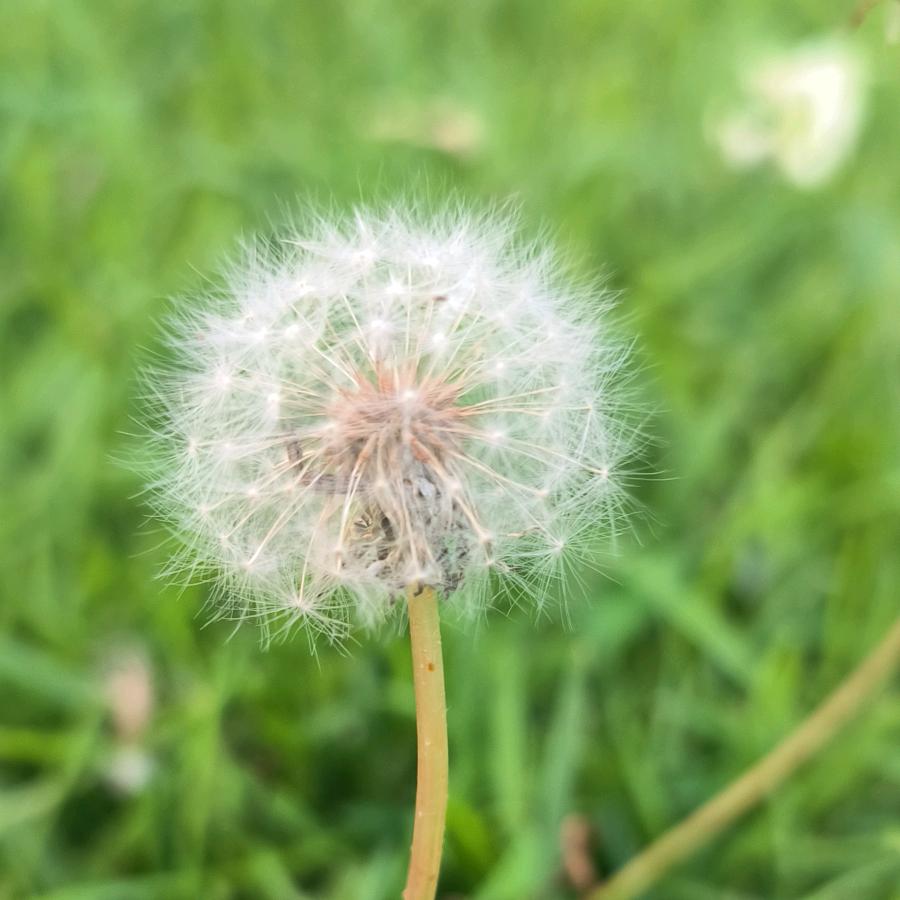 ⁽⁽ଘ悠悠岁月ଓ⁾⁾༄